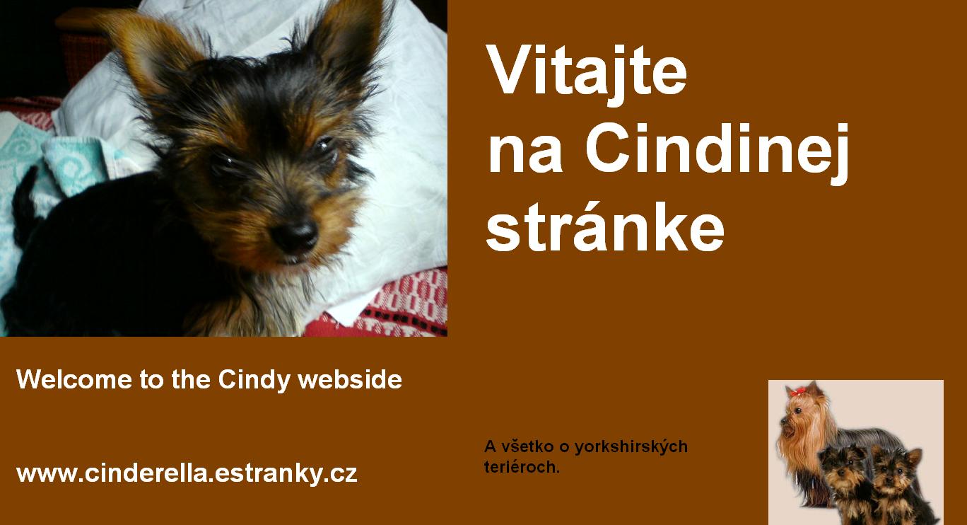welcome-to-the-cindy-webside